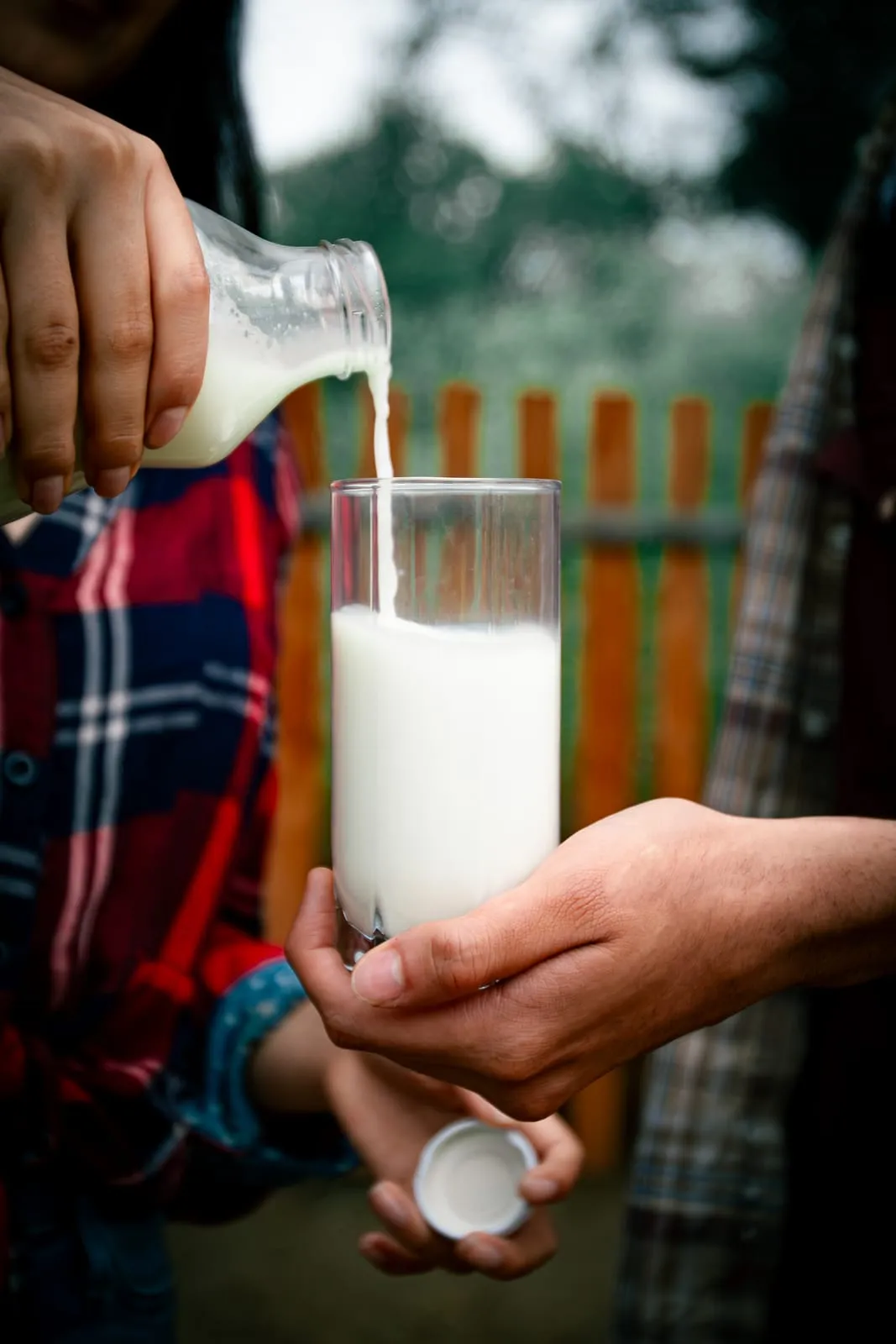 Leche de cabra servida de una botella de vidrio a un vaso
